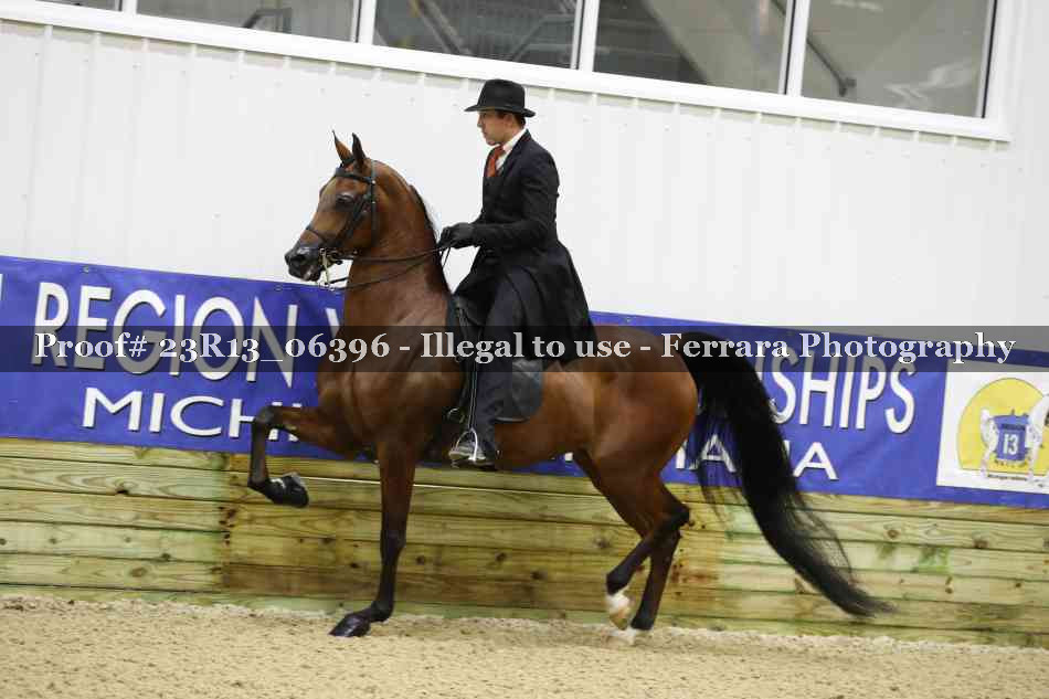 Proof 23R13_06396