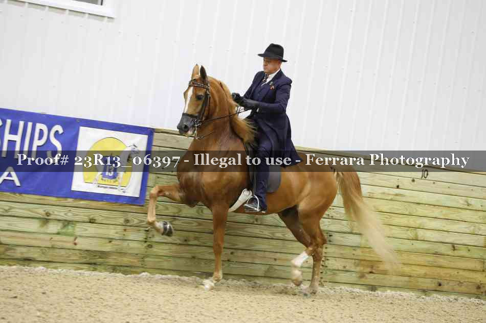 Proof 23R13_06397