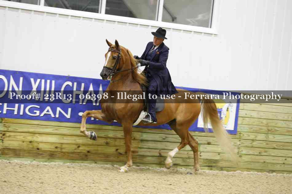 Proof 23R13_06398