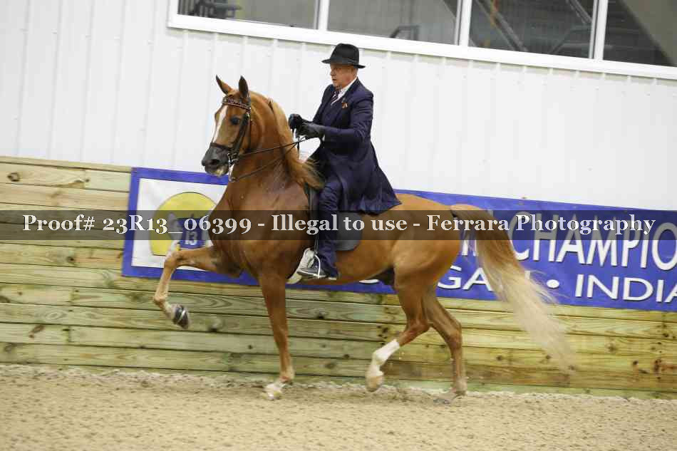 Proof 23R13_06399