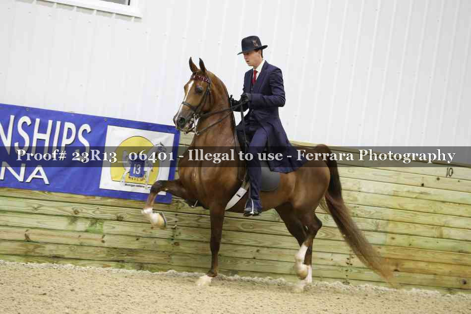 Proof 23R13_06401