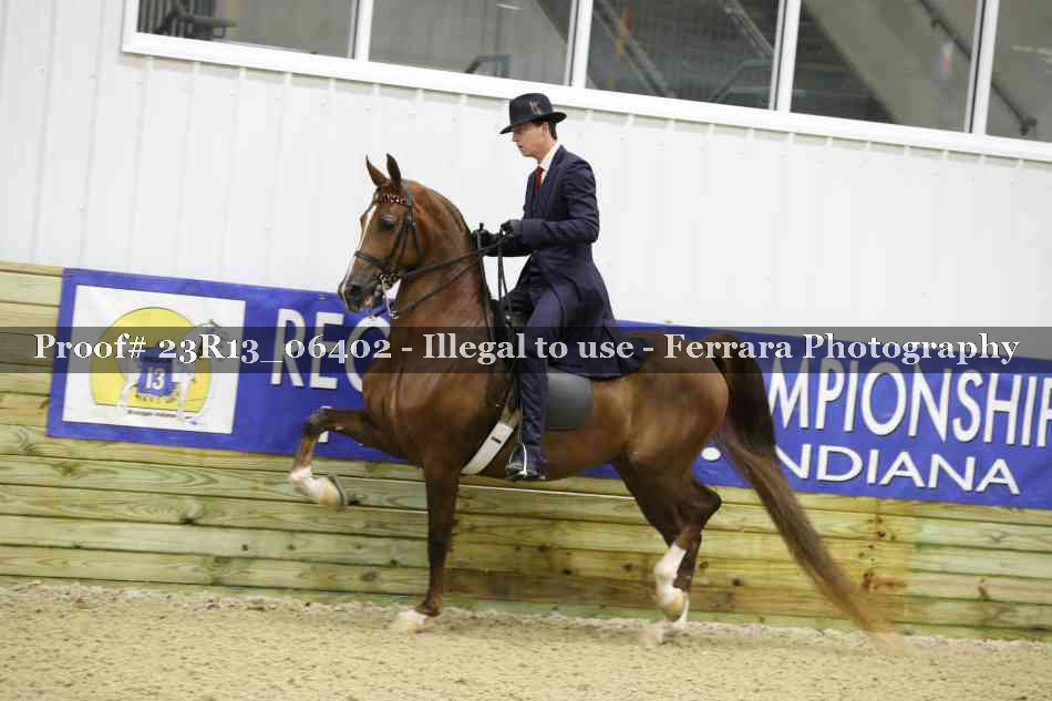 Proof 23R13_06402