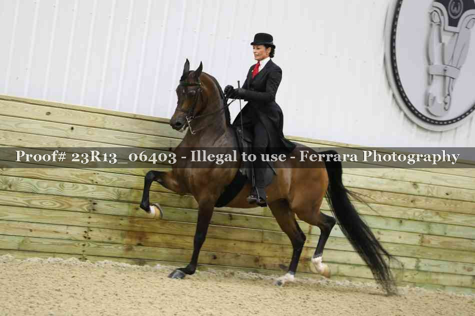Proof 23R13_06403