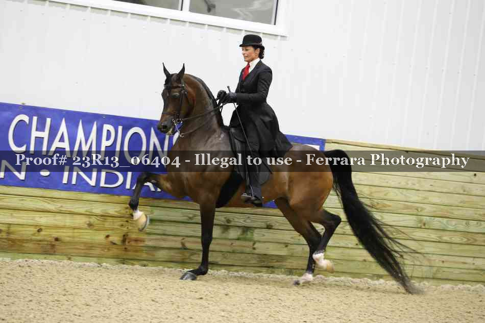 Proof 23R13_06404