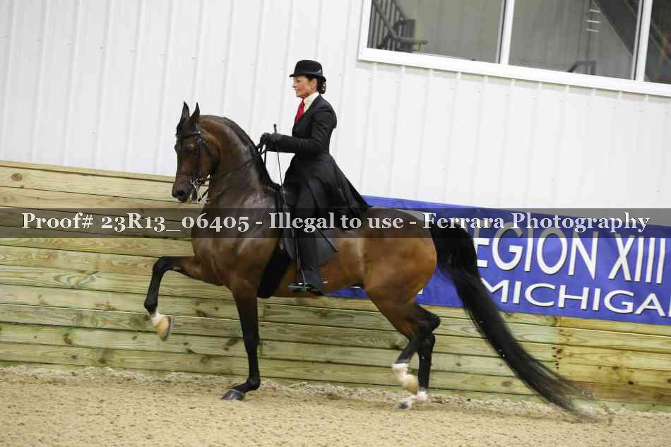 Proof 23R13_06405