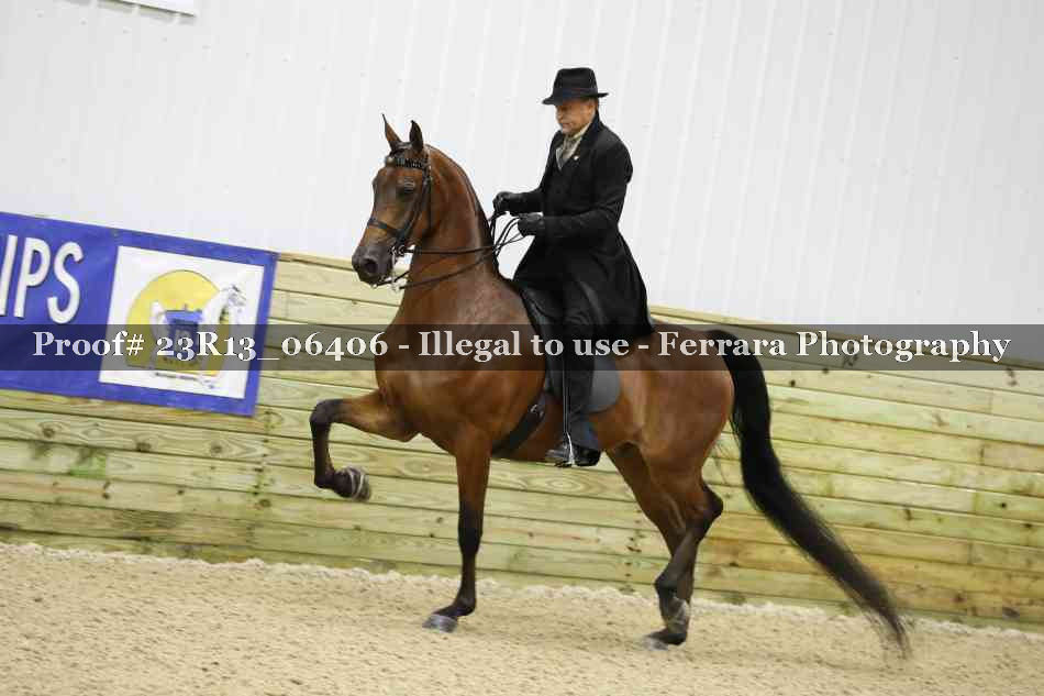 Proof 23R13_06406