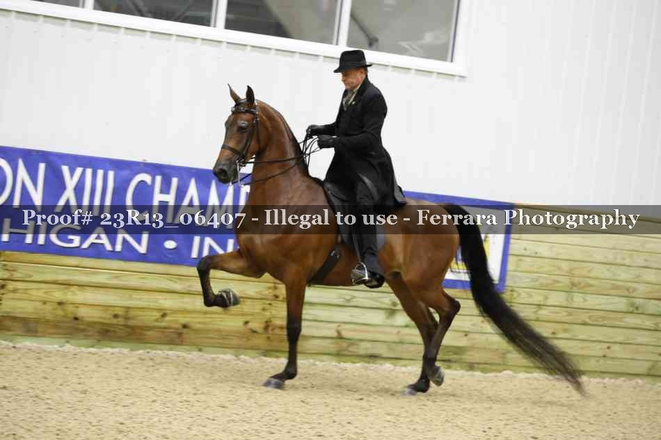 Proof 23R13_06407