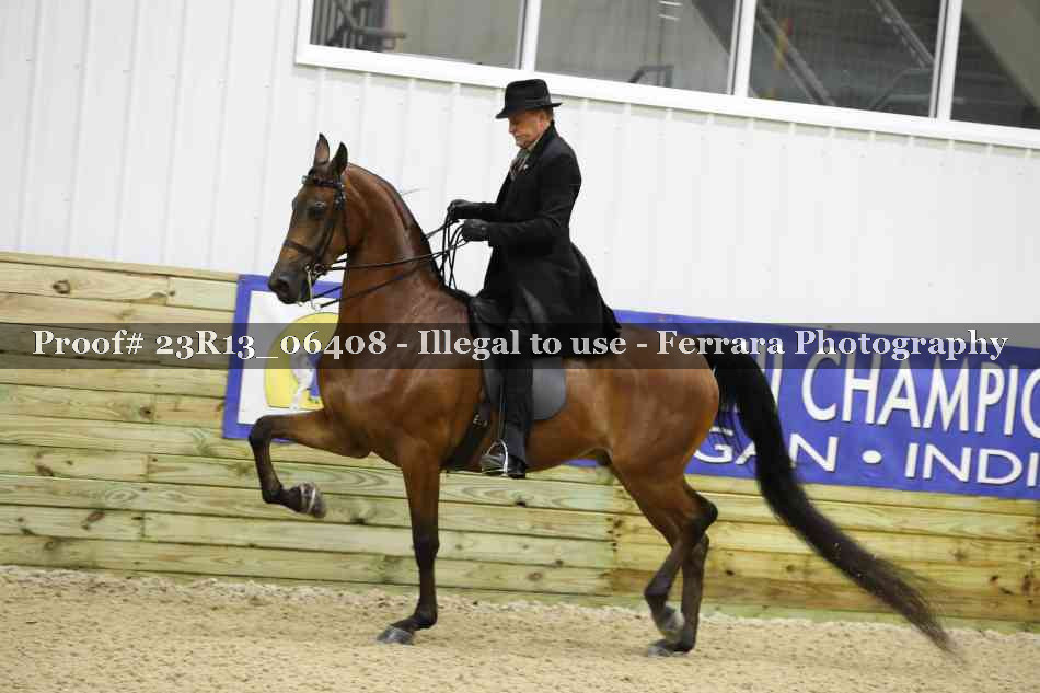 Proof 23R13_06408