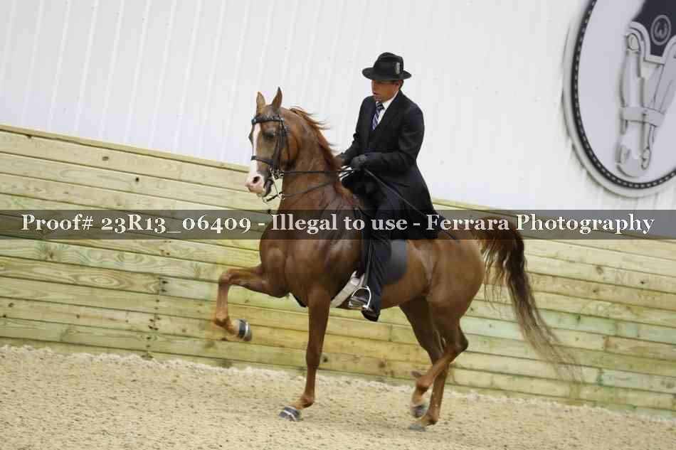Proof 23R13_06409