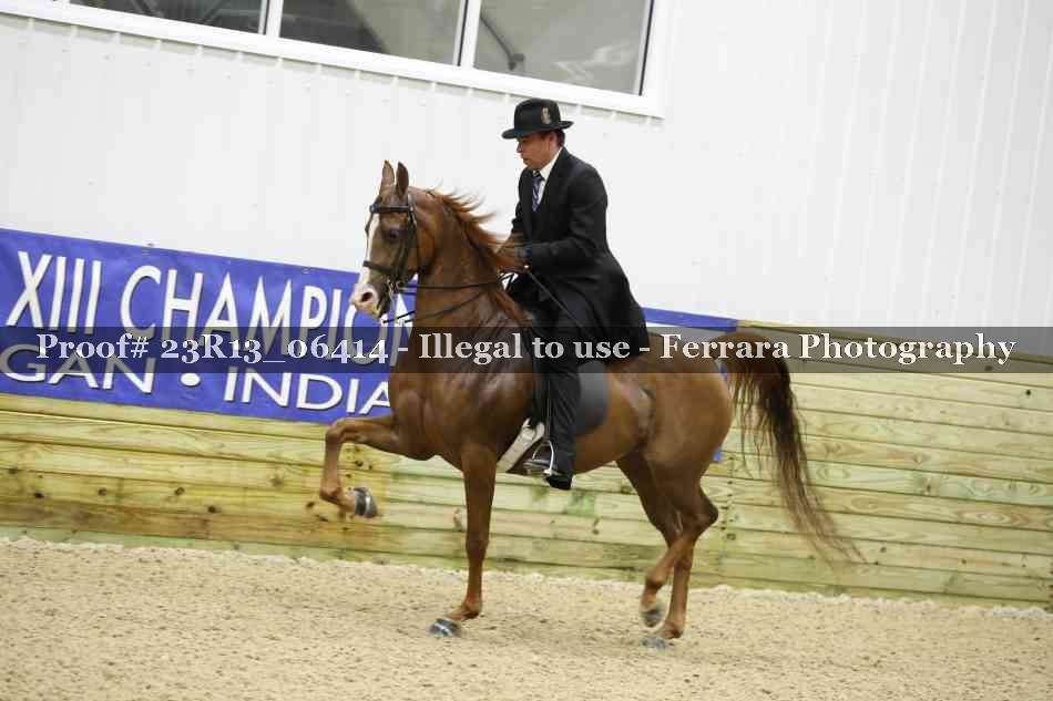 Proof 23R13_06414