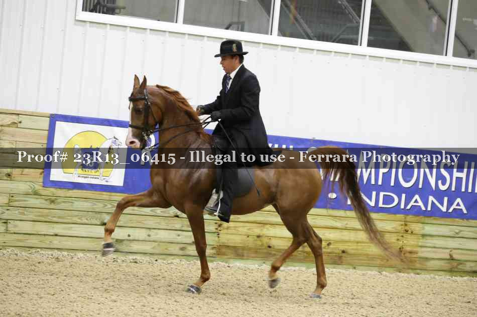 Proof 23R13_06415