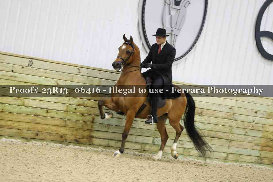 Proof 23R13_06416
