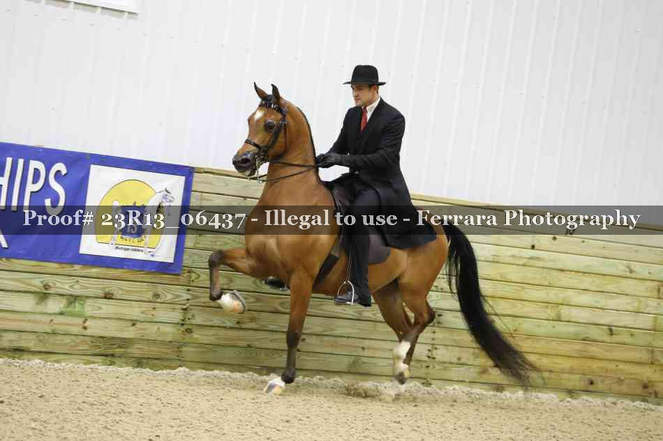 Proof 23R13_06437