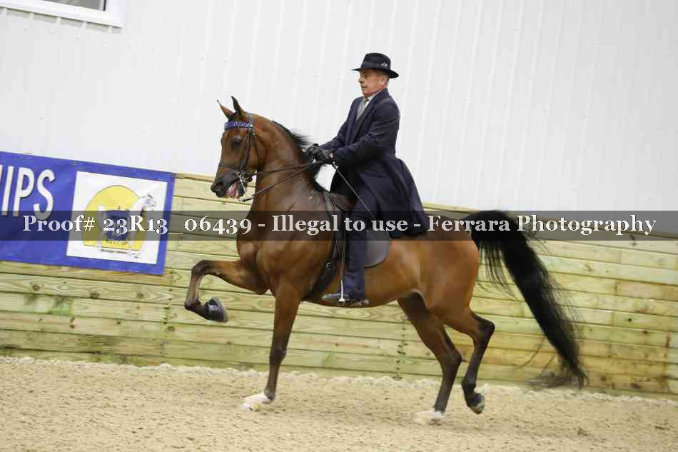 Proof 23R13_06439