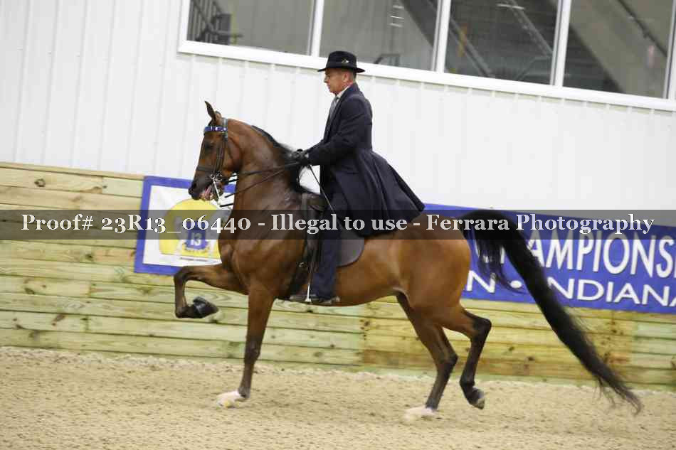 Proof 23R13_06440