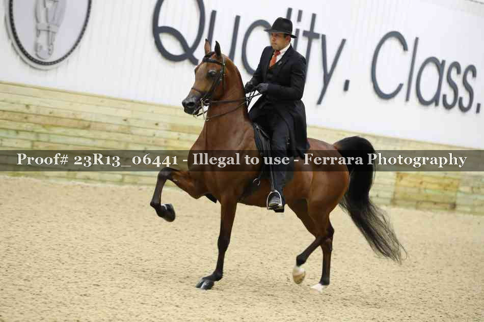 Proof 23R13_06441