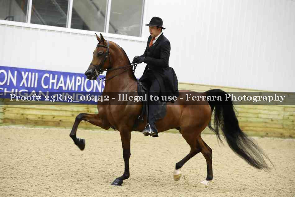 Proof 23R13_06442