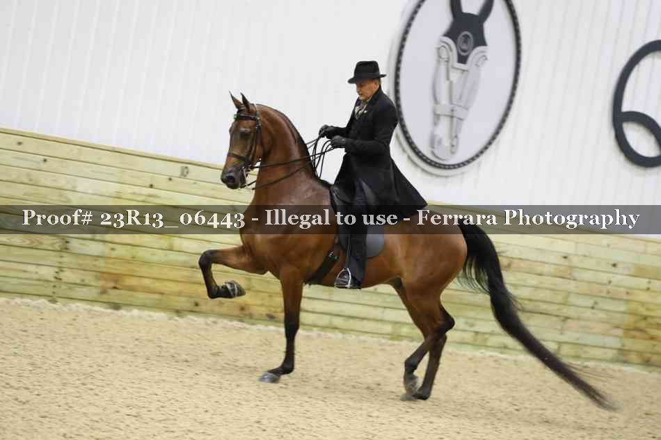 Proof 23R13_06443
