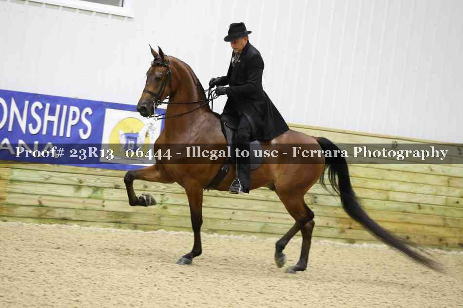 Proof 23R13_06444