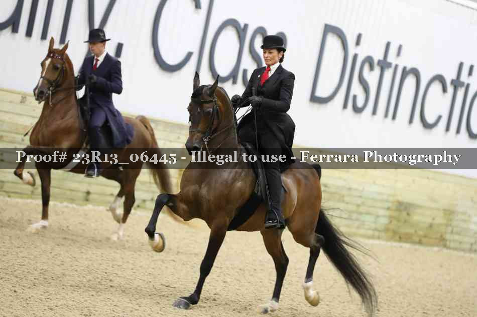 Proof 23R13_06445