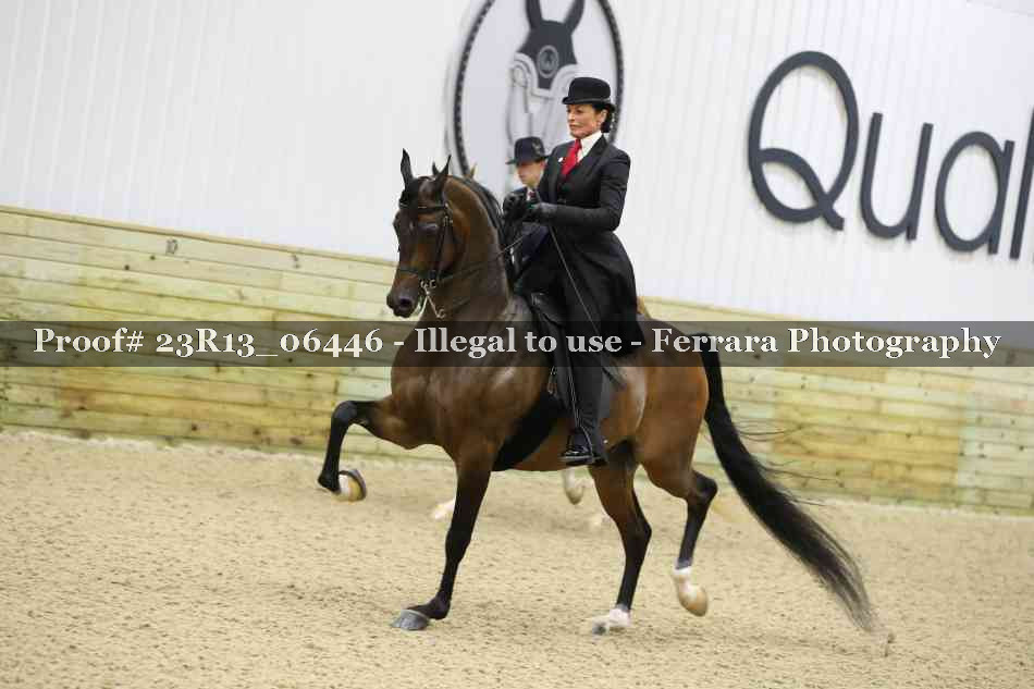 Proof 23R13_06446