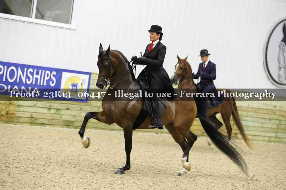 Proof 23R13_06447