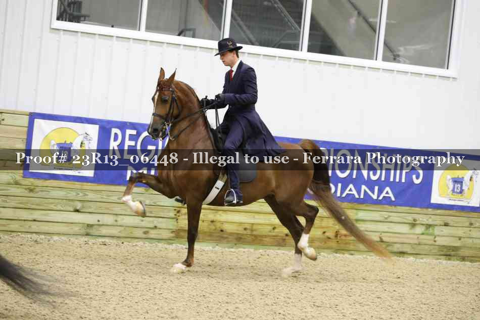 Proof 23R13_06448