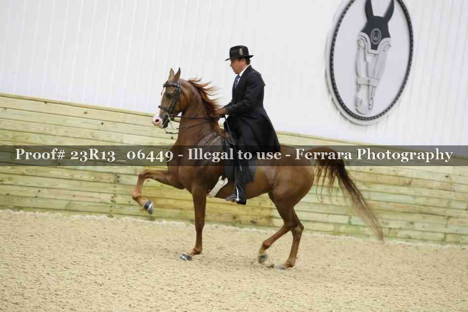 Proof 23R13_06449