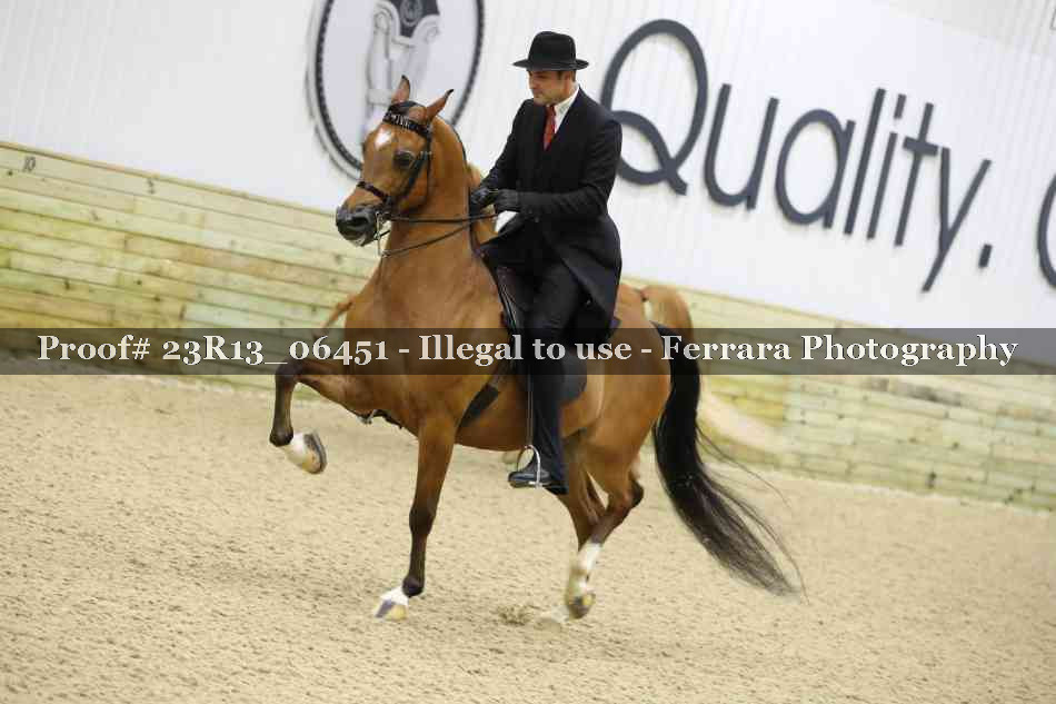 Proof 23R13_06451