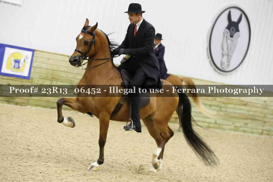 Proof 23R13_06452
