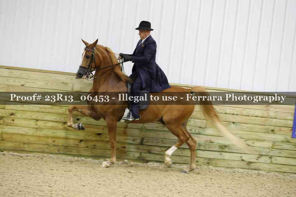 Proof 23R13_06453