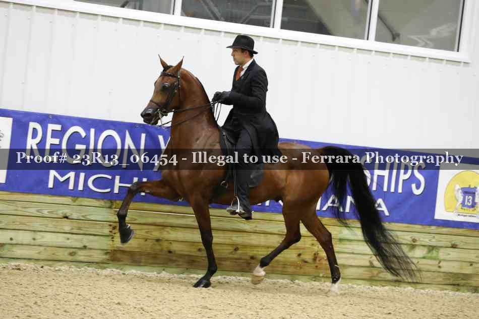 Proof 23R13_06454