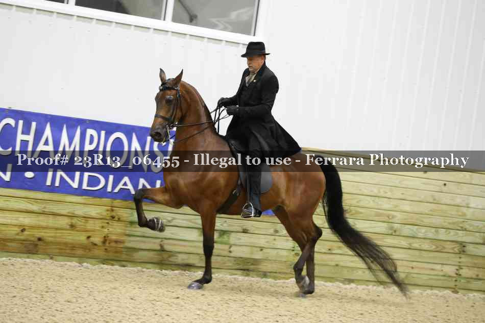 Proof 23R13_06455
