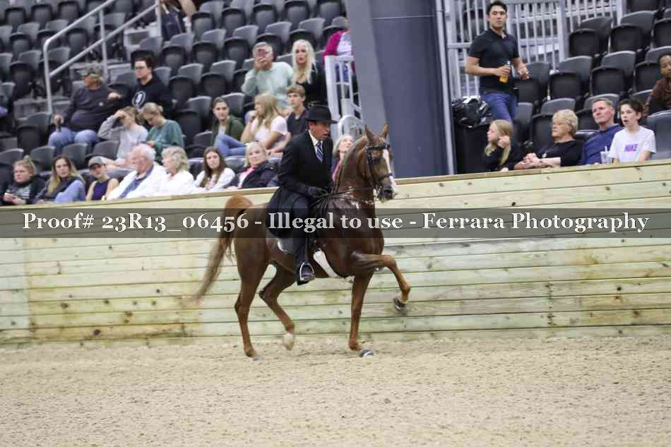 Proof 23R13_06456