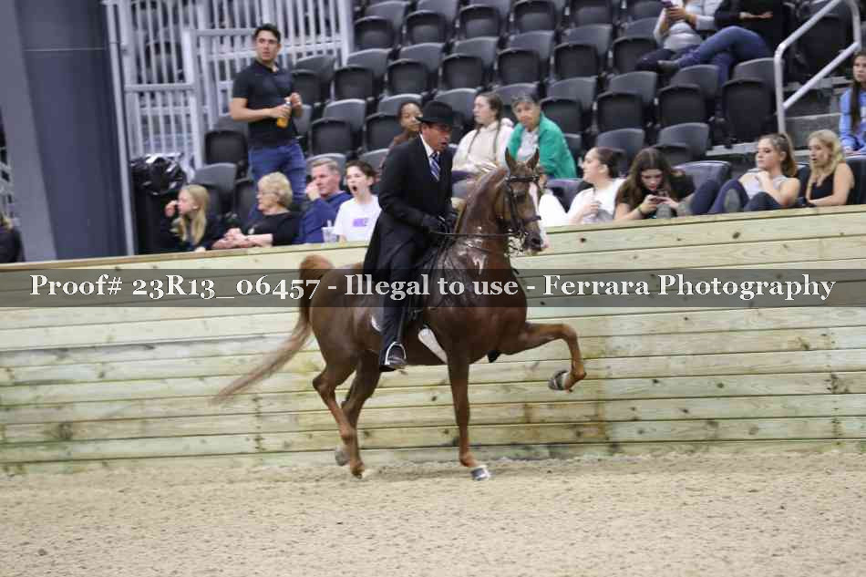 Proof 23R13_06457