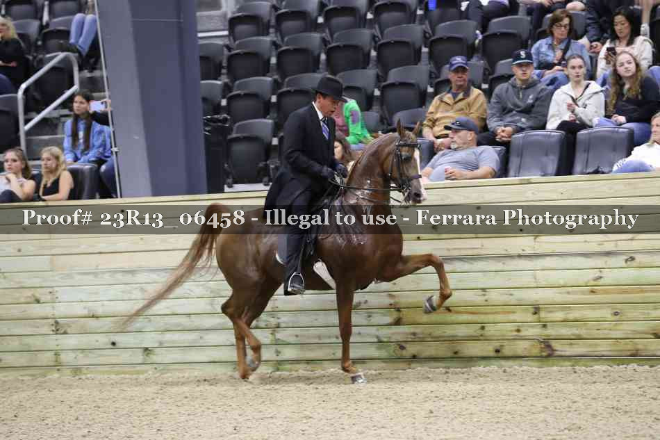 Proof 23R13_06458