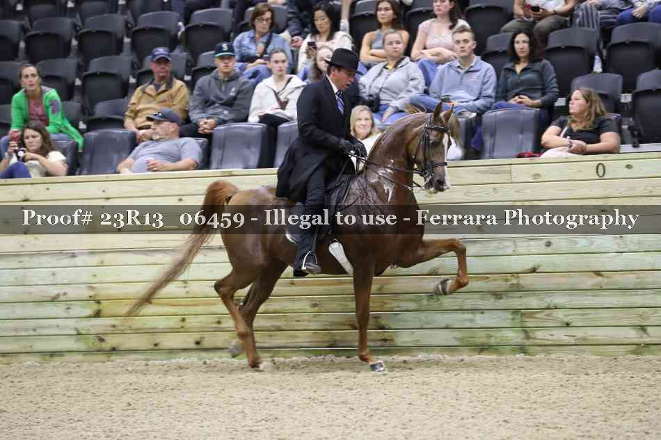 Proof 23R13_06459