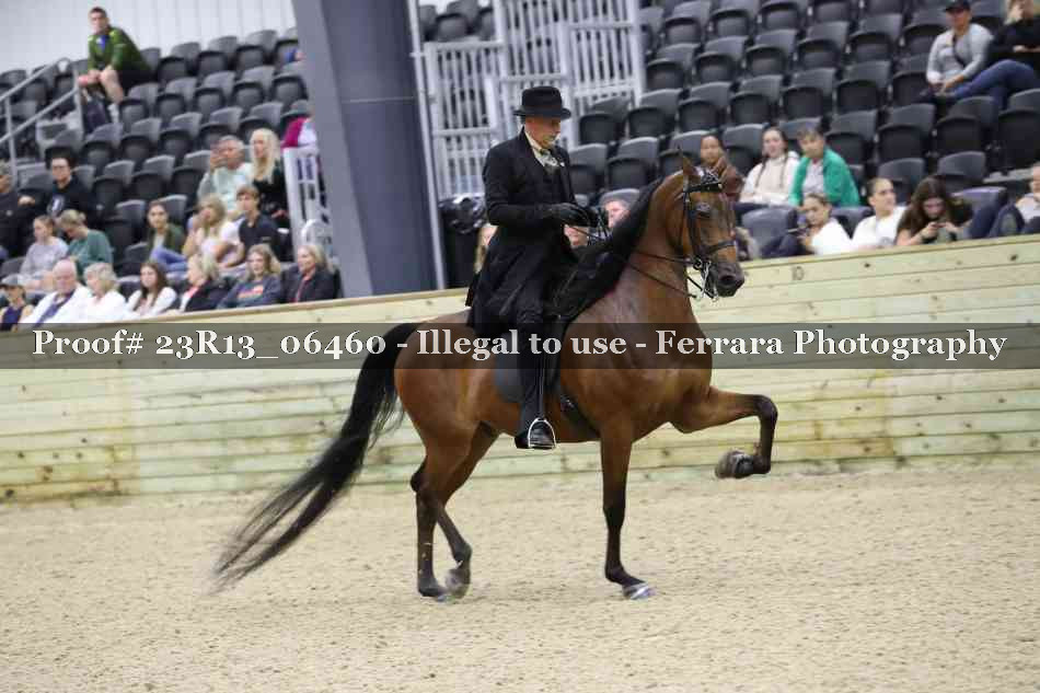 Proof 23R13_06460