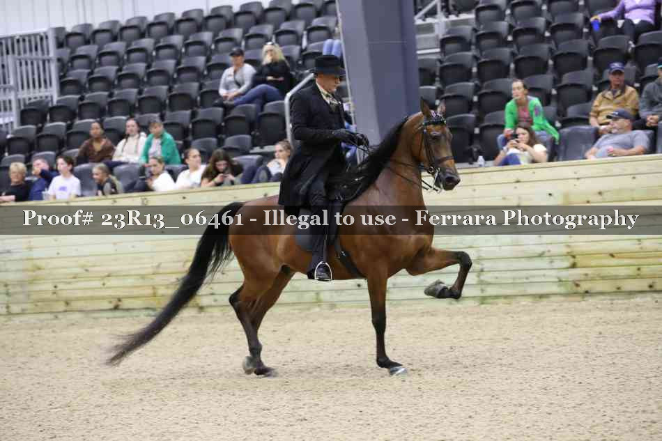 Proof 23R13_06461