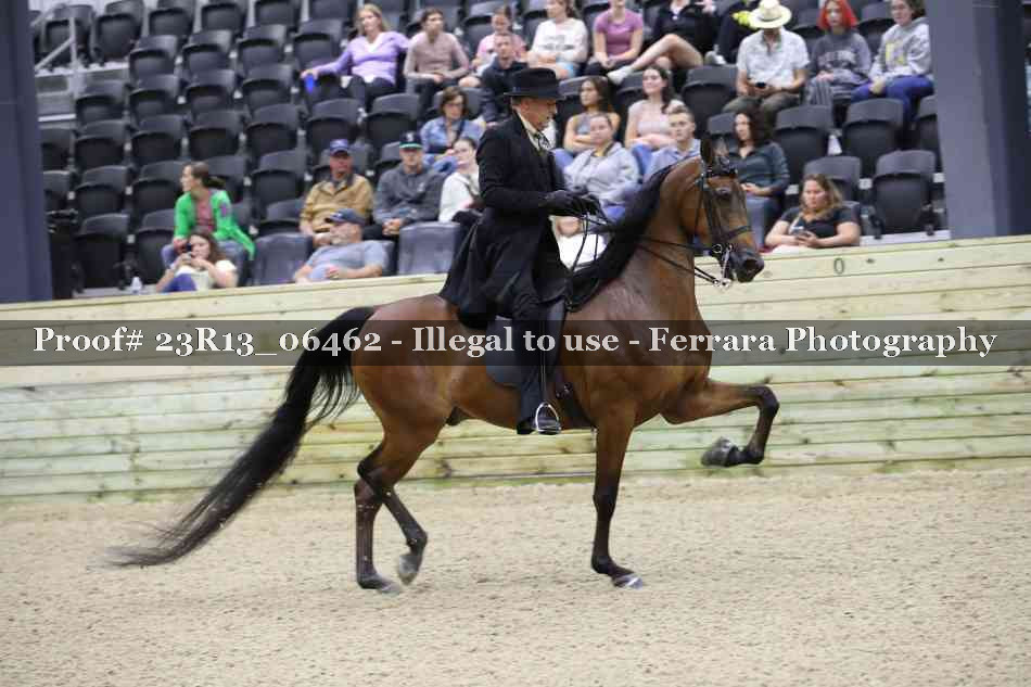 Proof 23R13_06462