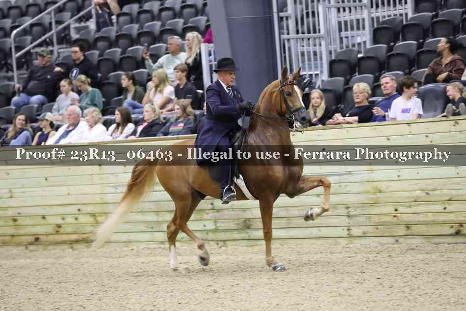 Proof 23R13_06463