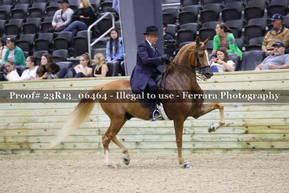 Proof 23R13_06464