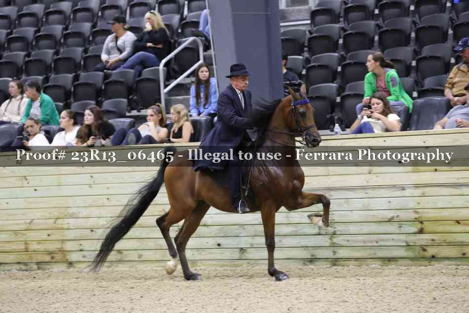 Proof 23R13_06465