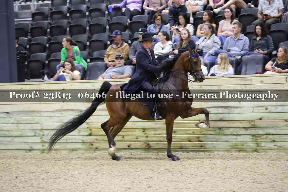 Proof 23R13_06466