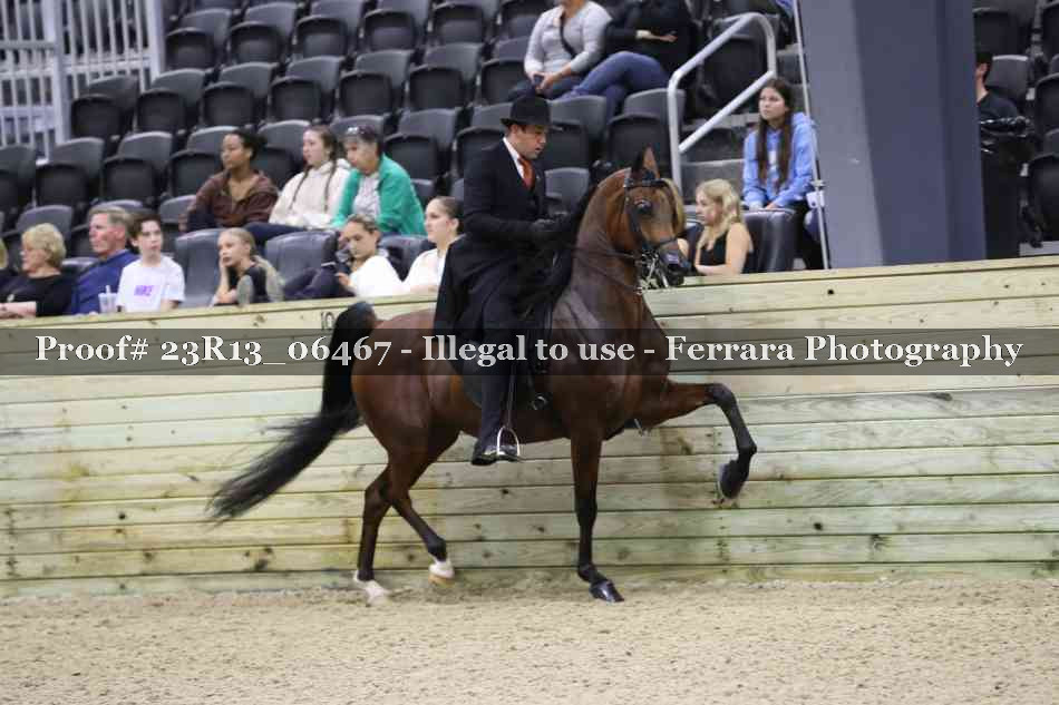 Proof 23R13_06467
