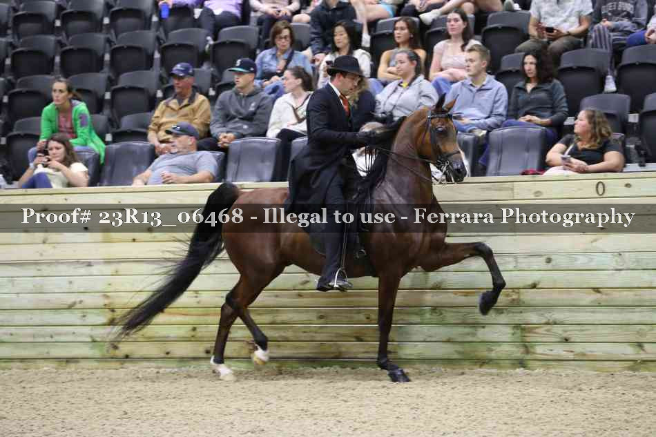 Proof 23R13_06468