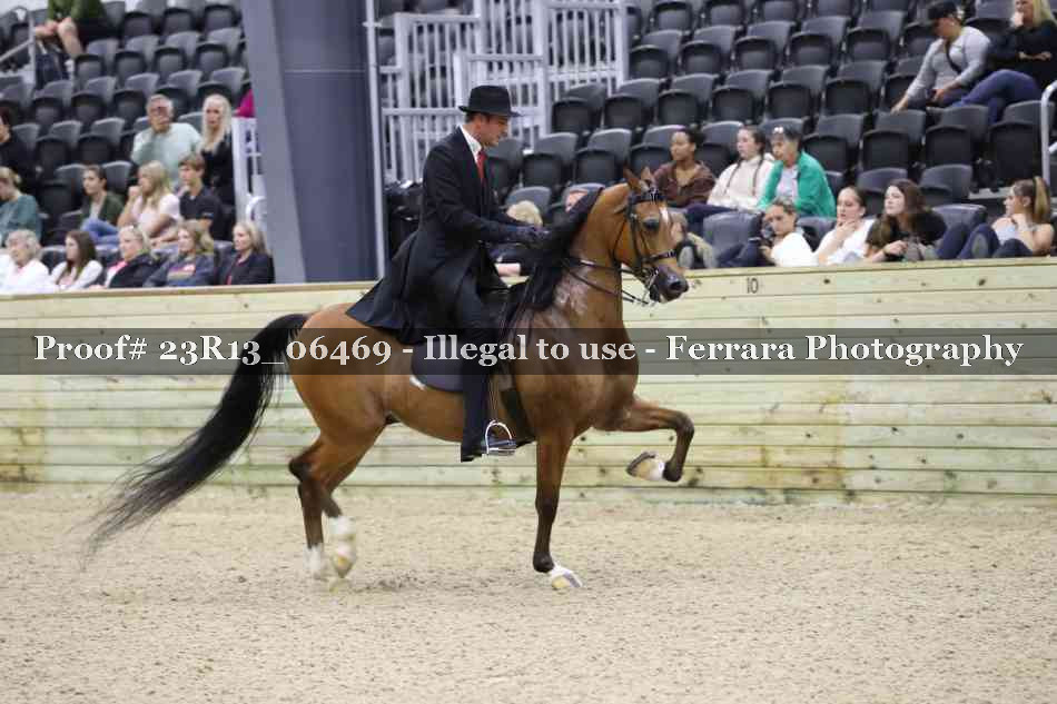 Proof 23R13_06469
