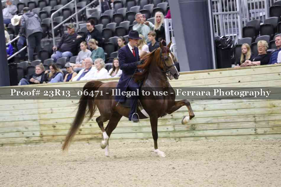 Proof 23R13_06471