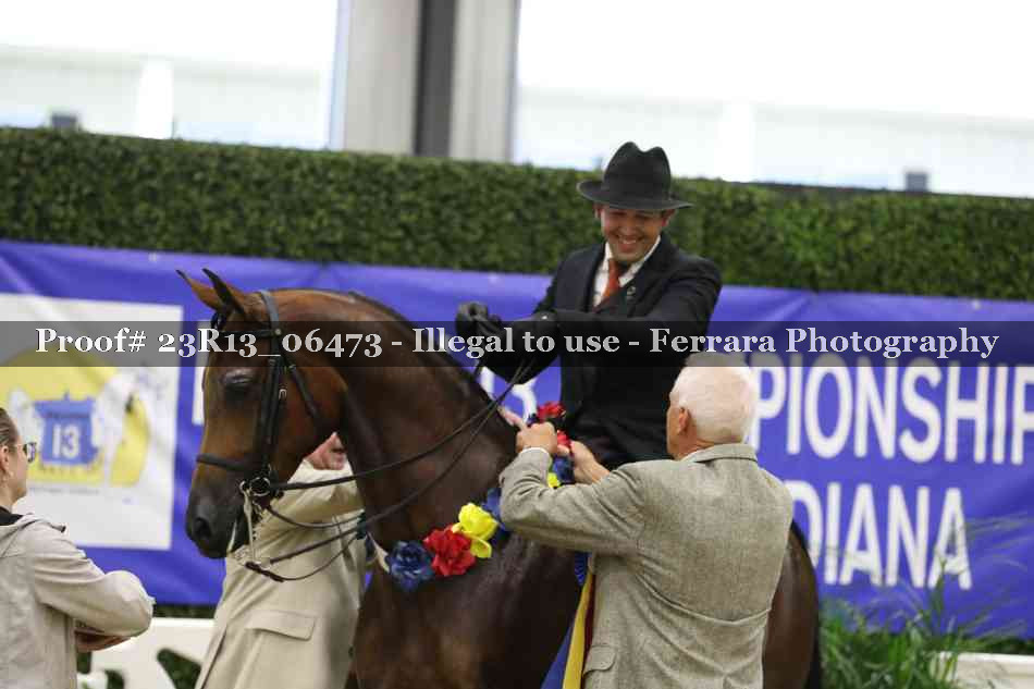 Proof 23R13_06473