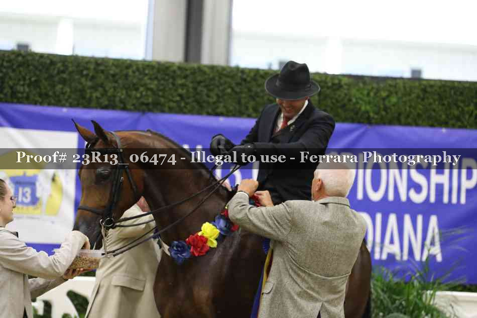 Proof 23R13_06474